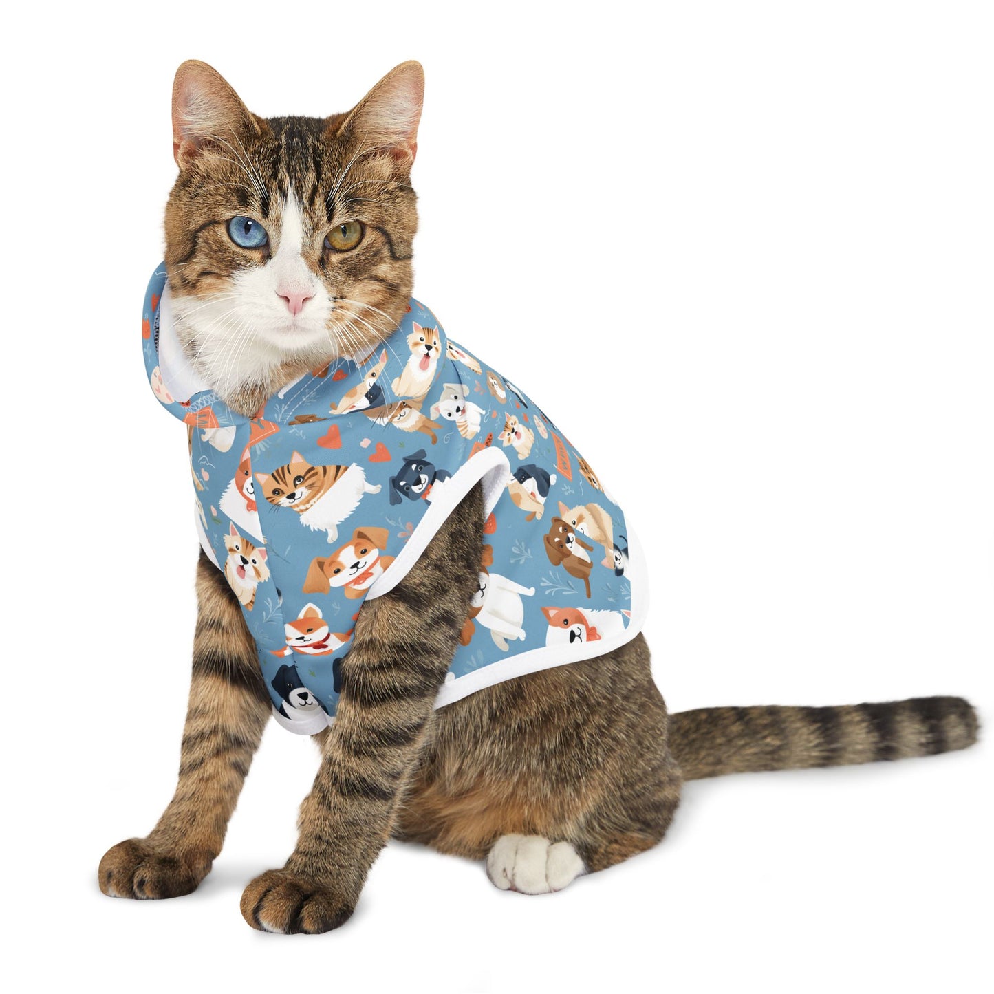 Playful Print Pet Hoodie