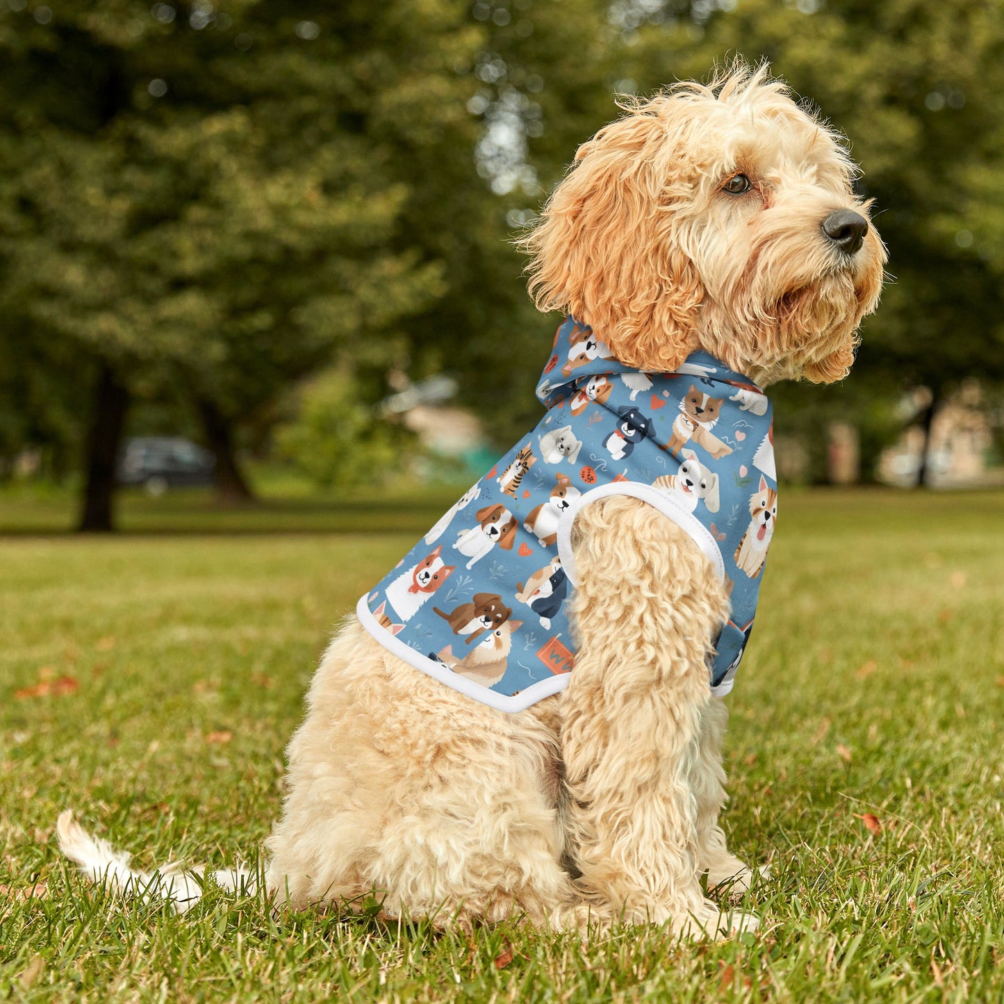 Playful Print Pet Hoodie