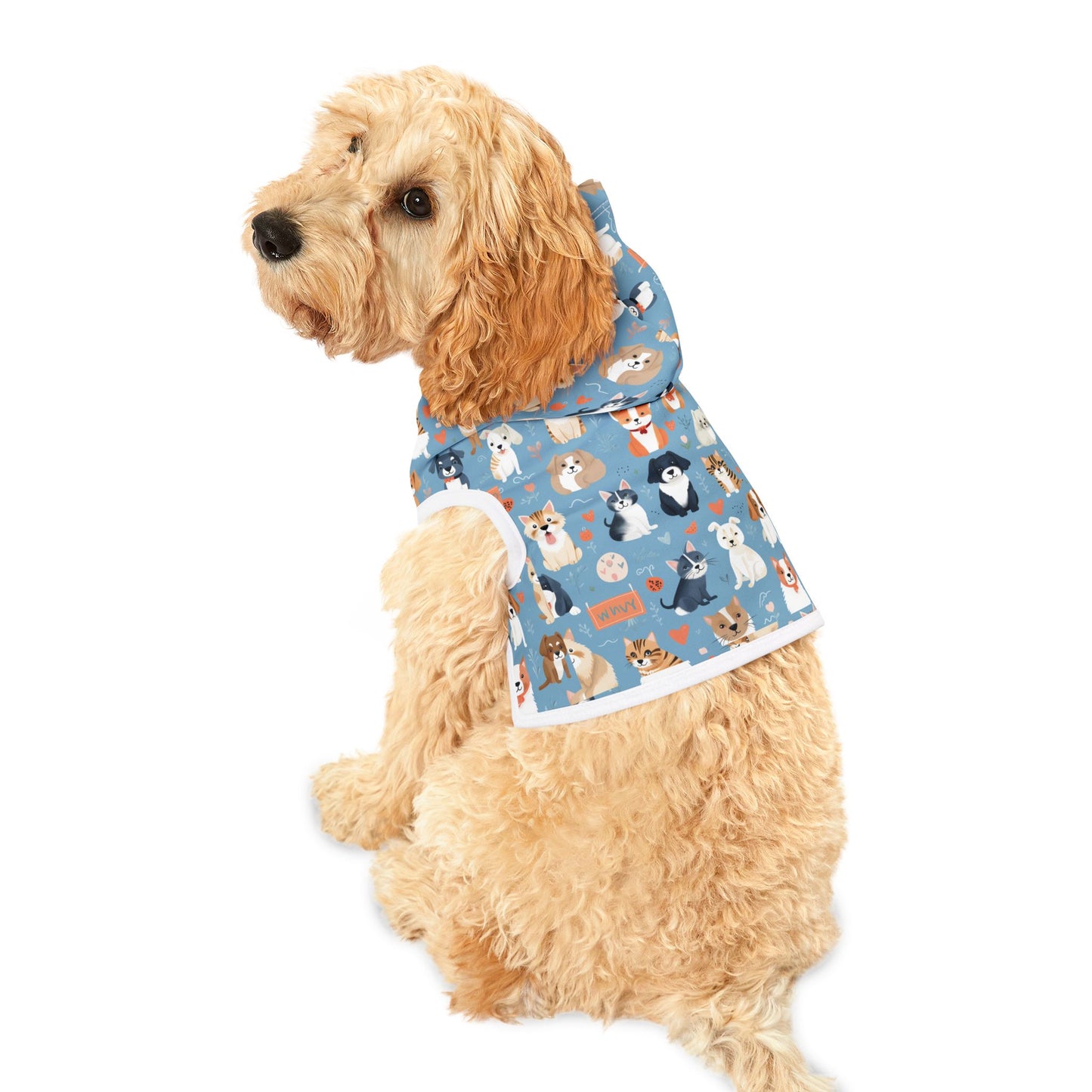 Playful Print Pet Hoodie