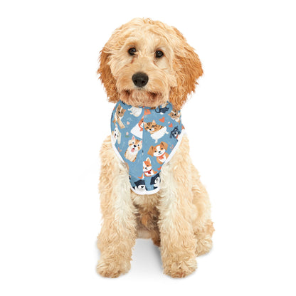Playful Print Pet Hoodie