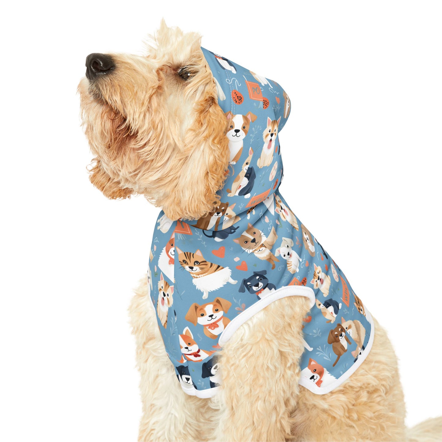 Playful Print Pet Hoodie